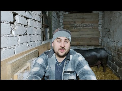 Видео: ПОДАЮ НА РАЗВОД!! ЖЕНА СОВСЕМ НЕ ПОМОГАЕТ ПО ХОЗЯЙСТВУ!!!