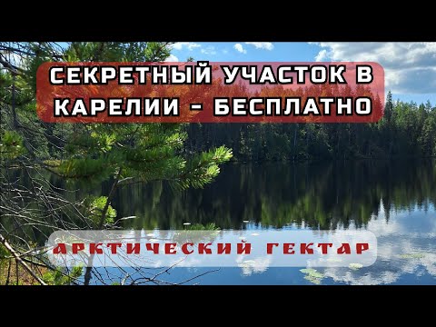 Видео: СРОЧНО Бронируй Бесплатный участок в уникальном месте Карелии. Простое оформление Гектара в Арктике