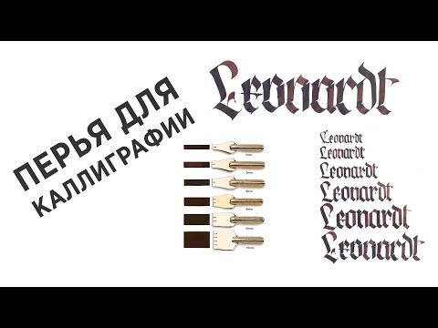 Видео: Перья для КАЛЛИГРАФИИ: manuscript, leonardt, тушедержатель, обзор