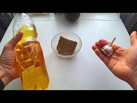 Видео: УБОЙНАЯ прикормка, насадка на карася! Подводная съемка