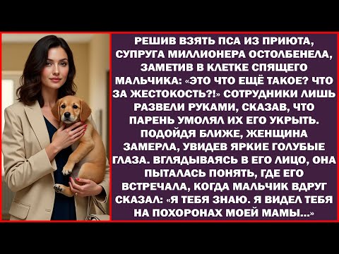 Видео: Собираясь взять пса из приюта, супруга богача замерла, увидев в клетке спящего паренька...