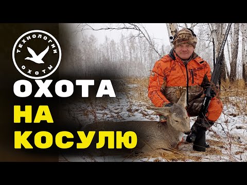 Видео: ЗАГОННАЯ ОХОТА НА КОСУЛЮ 2022. ▶️ Загон полная версия.