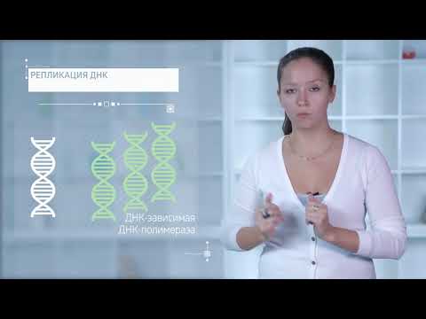 Видео: 1.6. Жизненный цикл вирусов