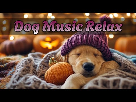 Видео: Музыка для сна домашних питомцев 🐕 Расслабляющие звуки для собак, кошек и щенков 💤