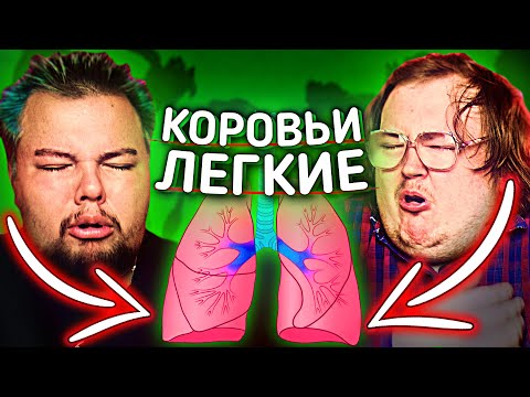 Видео: ГОВЯЖЬЕ ЛЕГКОЕ