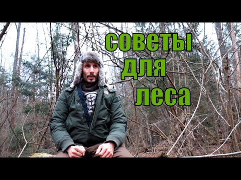 Видео: Выживание в лесу I Хитрости, которые должен знать каждый!
