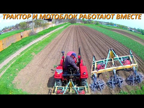Видео: Ежами по картошке 2022