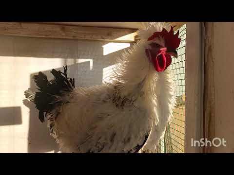 Видео: Вывезли весь хлам с участка.🤗🤦
