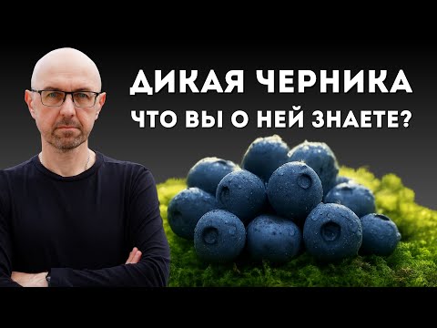 Видео: 6 эффектов Дикой Черники. Что черника делает с вашим телом. Польза  Черники о которой забыли.