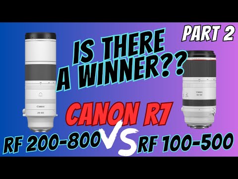 Видео: CANON RF 200-800 против RF 100-500 + 1.4 TC на Canon R7 | ЕСТЬ ЛИ ПОБЕДИТЕЛЬ? Тест на IQ | Часть ...