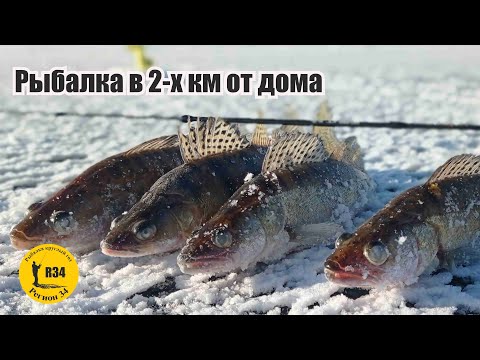 Видео: Рыбалка на вибы в двух км от города. За одно и проверил старые места.