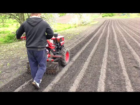 Видео: УНИВЕРСАЛЬНЫЙ АДАПТЕР для навесного. Прополка и рыхление междурядий картофеля мотоблоком .