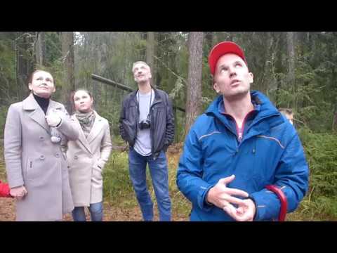 Видео: Фрагмент экскурсии в Линдуловской роще. Пьяный лес, кедр, секвойи, как узнать возраст дерева.