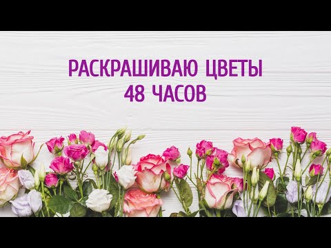 Видео: ЧЕЛЛЕНДЖ ЦВЕТОЧНОЕ НАСТРОЕНИЕ 48 ЧАСОВ РАСКРАШИВАЕМ ЦВЕТЫ