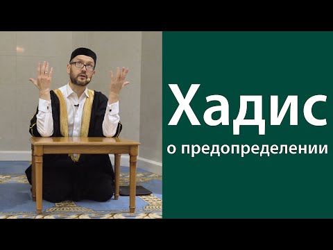 Видео: Твоя судьба