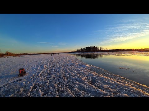 Видео: ЛОВИМ НА ЛЬДИНЕ ! ТУТ РЫБЫ ПОЛНО! НА ПЕРВЫЙ ЛЁД 2023 за СУДАКОМ и ЩУКОЙ!