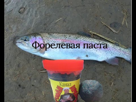 Видео: #форелеваяпаста Как можно сделать  дома пасту для рыбалки на форель на поплавочную удочку