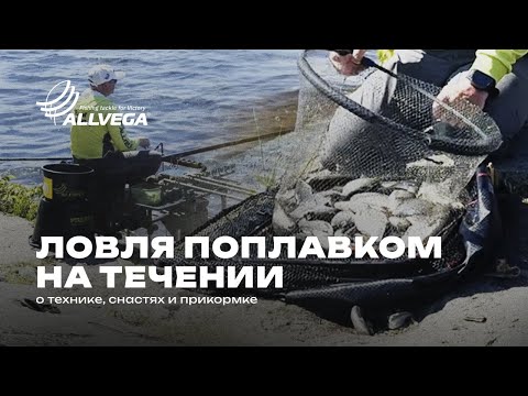 Видео: Штекер: Тайны рыболовного мастерства