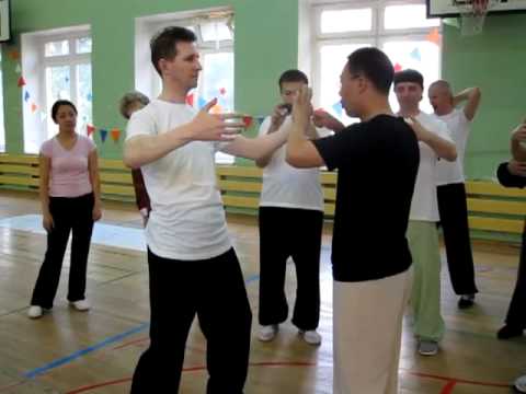 Видео: Ван Лин Тайцзи Ян 24 формы Отработка стоек [1]