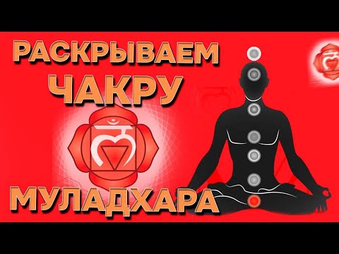 Видео: Медитация 1: Очистка и раскрытие чакры Муладхара / Практическое занятие