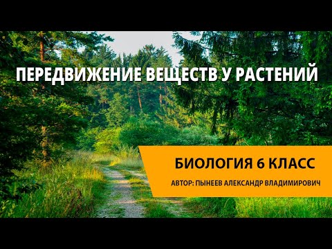 Видео: Передвижение веществ у растений