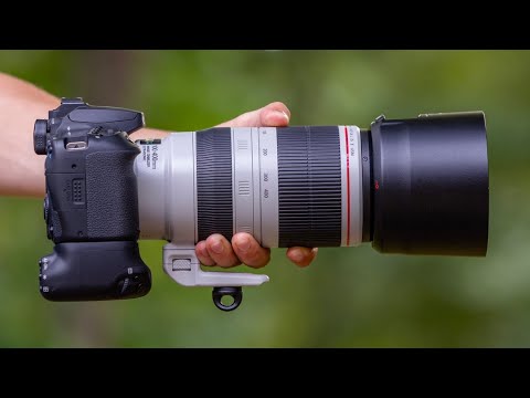 Видео: ЛУЧШИЕ УСЛОВИЯ ДЛЯ СЪЕМКИ ДИКОЙ ПРИРОДЫ НА CANON 90D