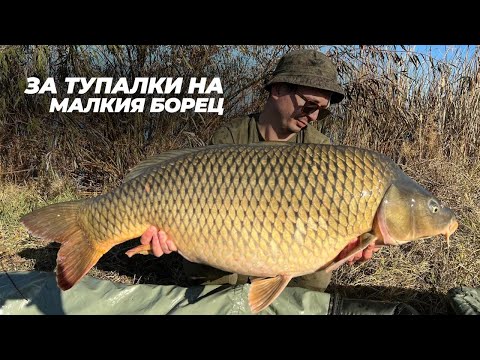 Видео: CarpDays - за октомврийски тупалки на малкия Борец