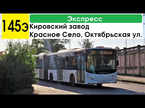 Видео: Автобус 145э "Кировский завод - Красное Село, Октябрьская ул." (экспресс)