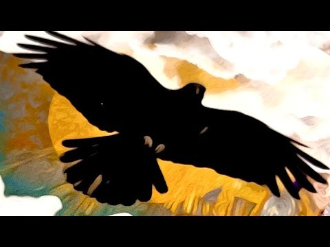 Видео: ❗️ИДИ ЗА ВОРОНОМ..🐦‍⬛🗝️ОН РАССКАЖЕТ..ЧТО-ТО ВАЖНОЕ О ТЕБЕ, ДЛЯ ТЕБЯ !🪽