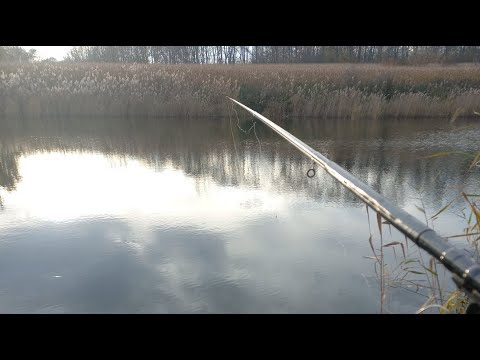 Видео: Остані дні рибалки 2025 року прямий ефір.