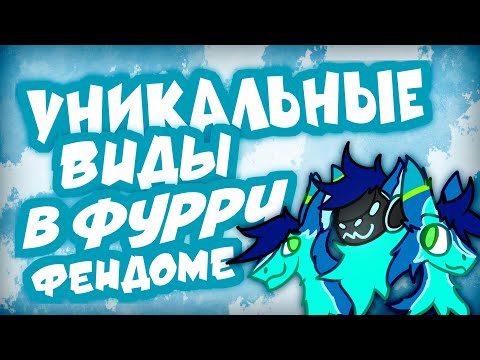 Видео: Уникальные виды фурри фэндома