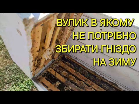 Видео: Вулик в якому не потрібно збирати гніздо на зиму #бджільництвов6тирамвуликах