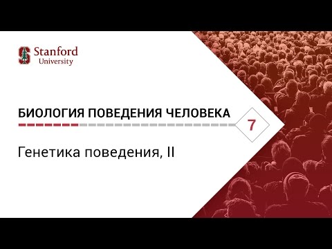 Видео: Биология поведения человека: Лекция #7. Генетика поведения, II [Роберт Сапольски, 2010. Стэнфорд]