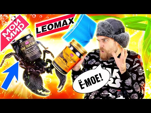 Видео: Бальзамы с ЯДОМ и ШАПКА с козырьком от ЛЕОМАКС и мой МИР - треш ОБЗОР