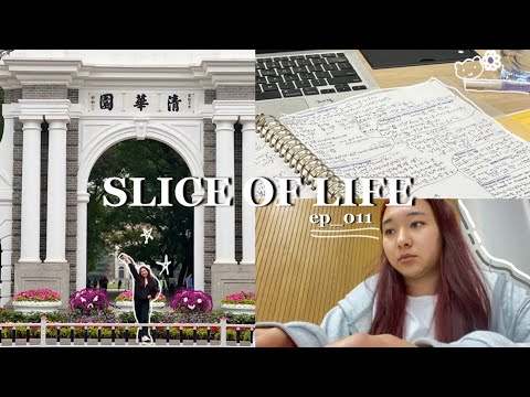 Видео: SLICE OF LIFE || повседневная жизнь студента в Китае, университет Цинхуа