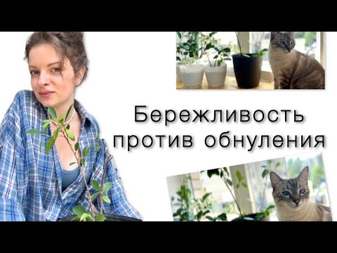 Видео: Тёплая привычка сохранять: от любимой чашки до любимых людей