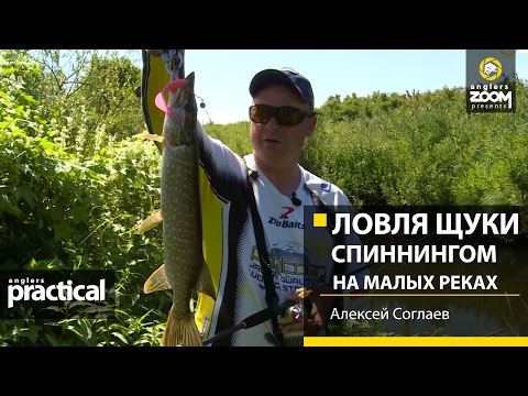 Видео: Ловля щуки спиннингом на малых реках. Алексей Соглаев. Anglers Practical.