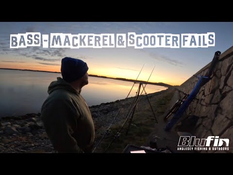 Видео: Дневная рыбалка на острове Англси ~ ПОТРЯСАЮЩЕЕ развлечение!