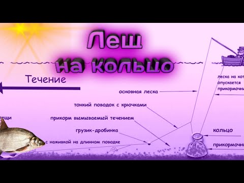 Видео: Рыбалка на кольцо Волга#ловля леща на кольцо #Рыбалка