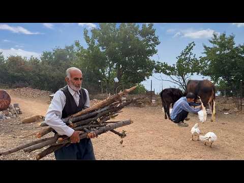 Видео: Путешествие в удивительные деревни Аламута. Иран Путешествие в деревню Хир Аламут в Казвине.