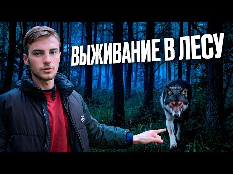 Видео: ВЫЖИВАНИЕ В ЛЕСУ!