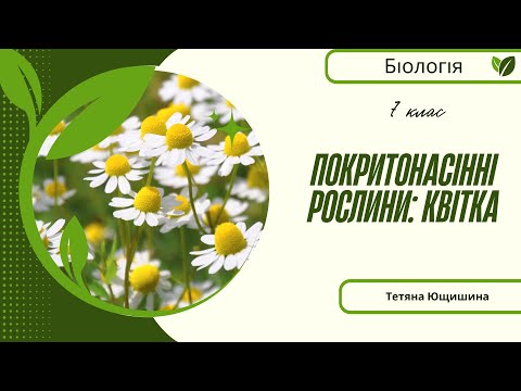 Видео: Урок 24. Покритонасінні рослини: квітка. 7 клас. НУШ