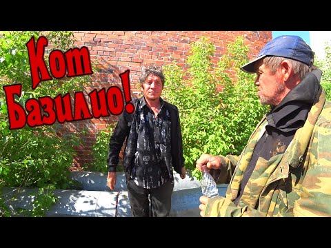 Видео: КОТ БАЗИЛИО / КУДА ПРОПАЛА ТАТЬЯНА / 244 серия (18+)