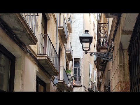 Видео: Лариса Никитина в прямом эфире!