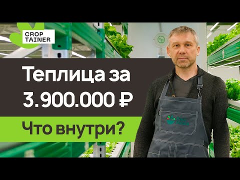 Видео: Что такое «Кроптейнер»? Как выращивать 100 кг зелени на 14 кв.м.?