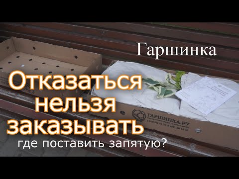 Видео: Гаршинка. Растения из интернет-магазина