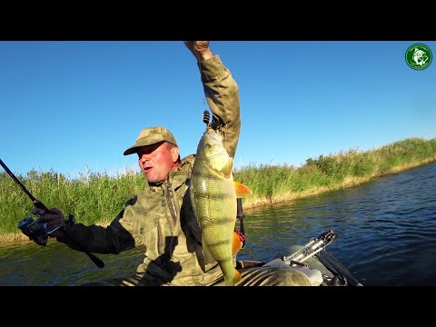 Видео: ТУРГАЙ, ЩУКА И ОКУНЬ ЖИРУЕТ НА ЭТОЙ РЕКЕ НА СПИННИНГ И НА ЖИВЦА! РЫБАЛКА НА РЕКЕ КАБЫРГА СОЛЁНАЯ!