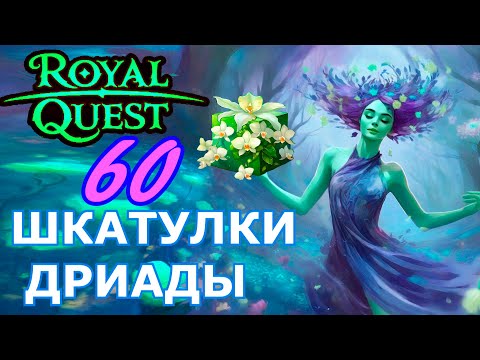 Видео: 60  Шкатулок Дриады  .Dryad's Caskets .Royal Quest