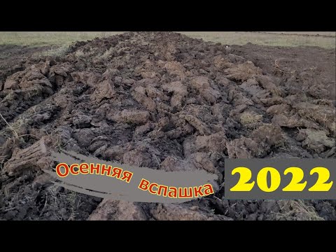 Видео: ‼️ Вспашка целины ‼️