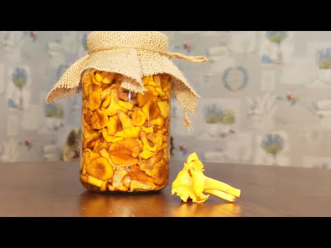 Видео: Самый удачный и лёгкий рецепт лисичек в маринаде! The best pickled mushroom recipe ever!